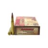 30-06 Ammo Canada for Optimal Performance